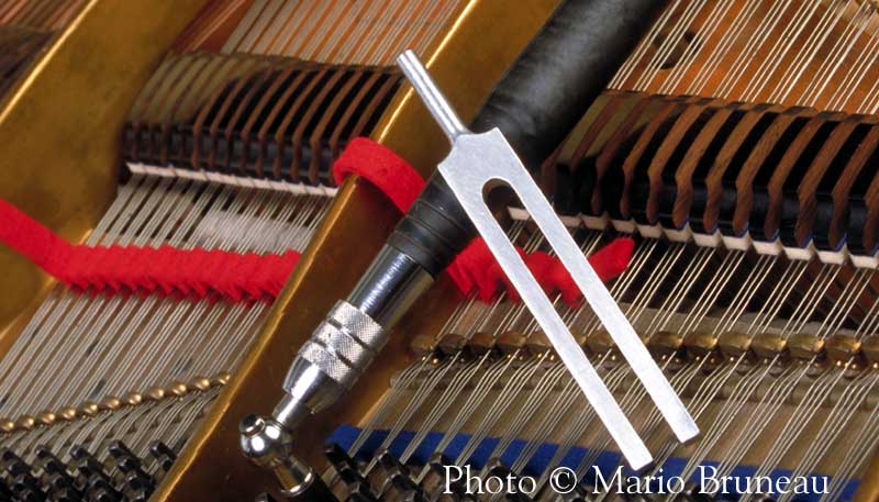 Piano tuning hammer and tuning fork